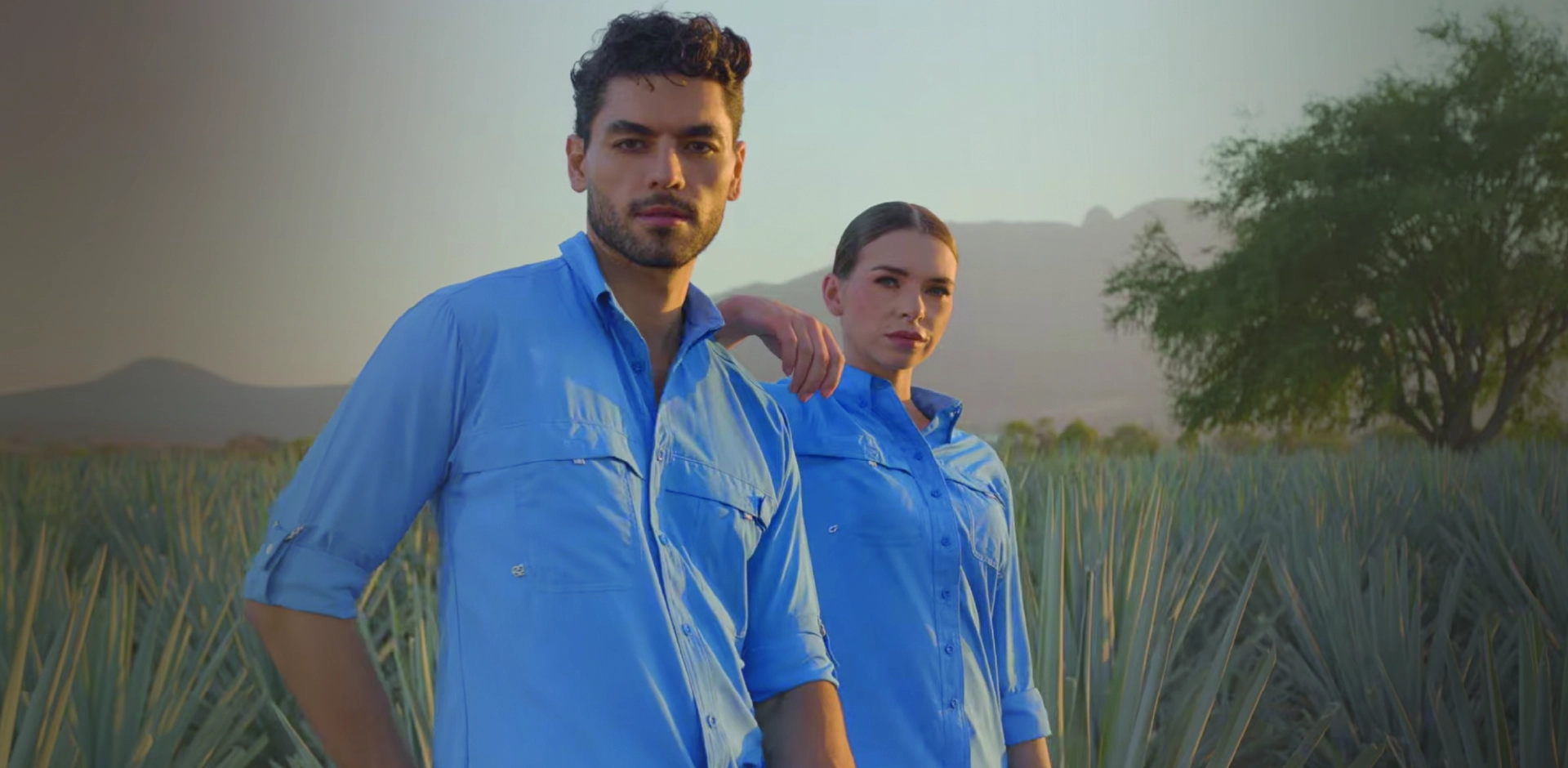 Profesionales BIGBANG en un campo de agave